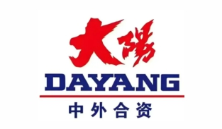 08-大阳DAYANG